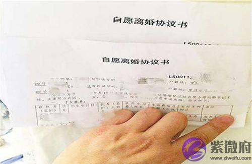 我生女儿嫂子生儿子，老公让我生儿子，不然家产侄子继承