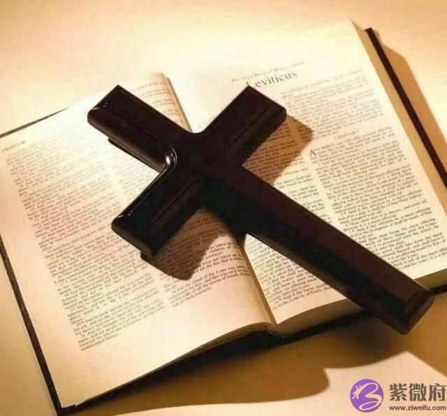 辛金在戌月土旺印旺大运水木泄秀克土名利双辉