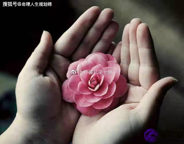 婚姻生辰看婚姻，丈夫星克身的女命，婚姻如何能幸福？