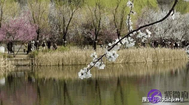 颜值高却没有异性缘的4个星座