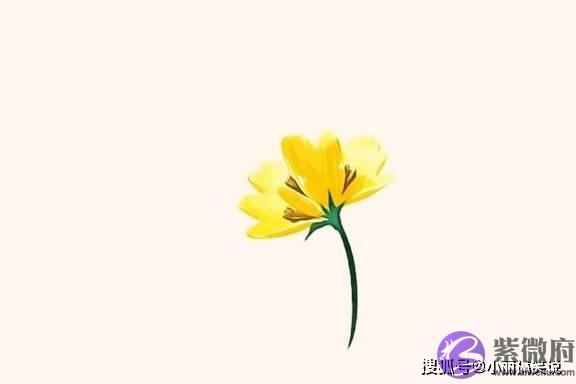 异性缘比较差，还不爱笑的星座