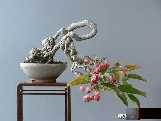 龙吟师傅教你布局财位，别听别人乱说什麽开门对角线是财位