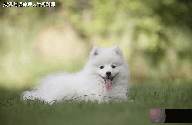 学业生辰看学业，命中枭印太旺，依赖心强，什麽时候才能考上编制