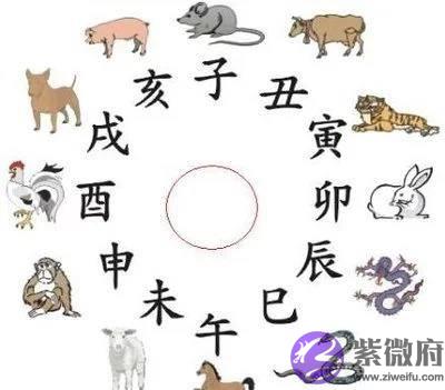 十二地支在生活中的应用二