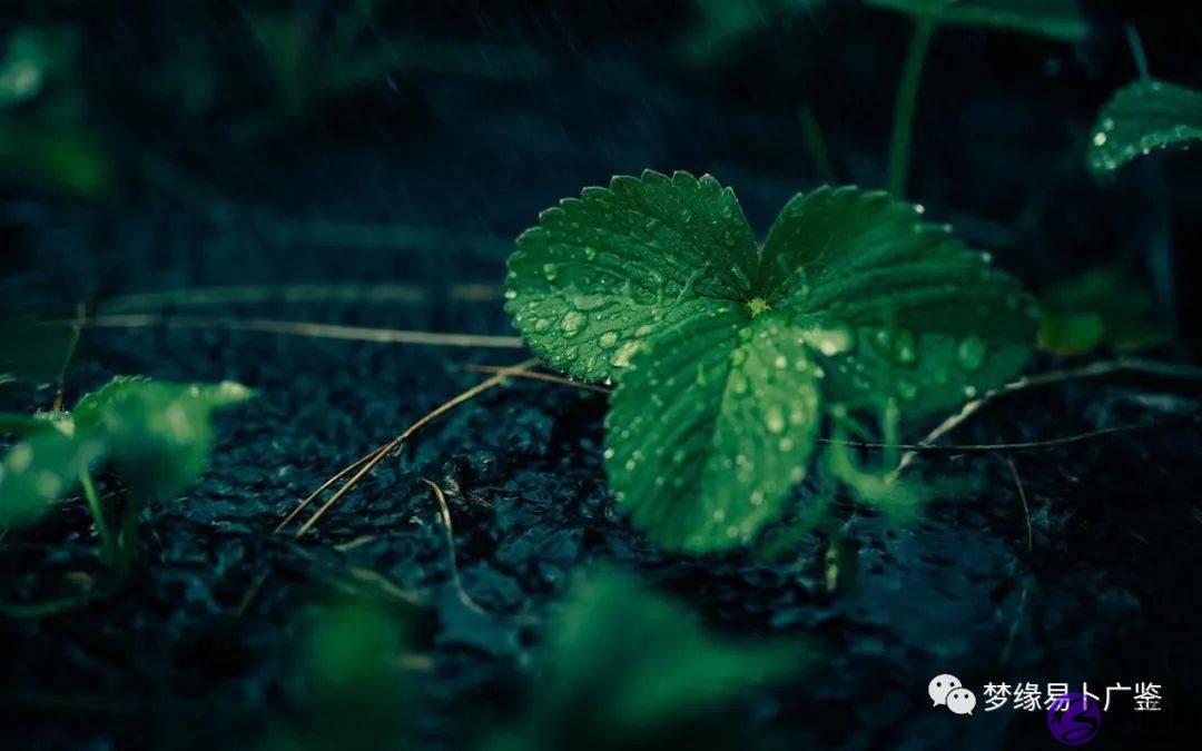生辰命理：比劫禄刃是什麽？
