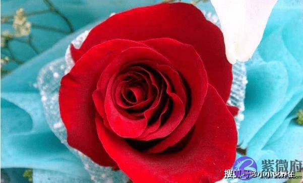 1999年出生的属兔人，事业上一帆风顺，财运上大吉大利！