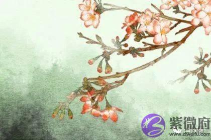 生辰入门：乙木命的男人能结婚吗？