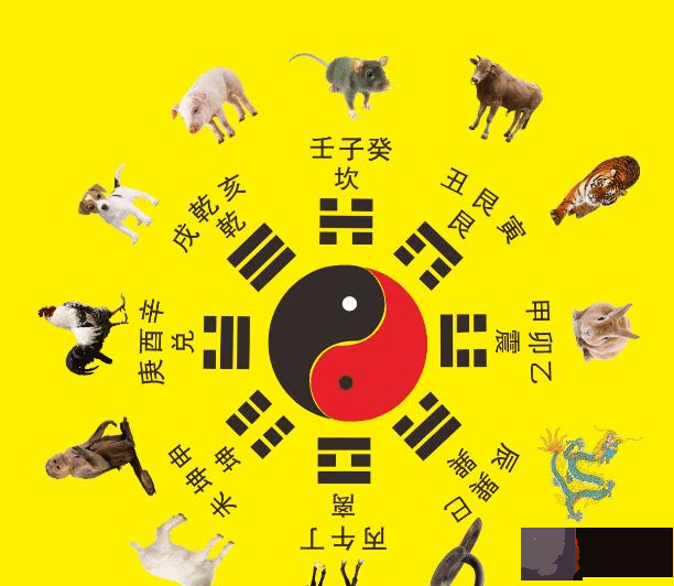 辛丑牛年：天干地支与十二生肖，你还分不清楚？那就往下看吧