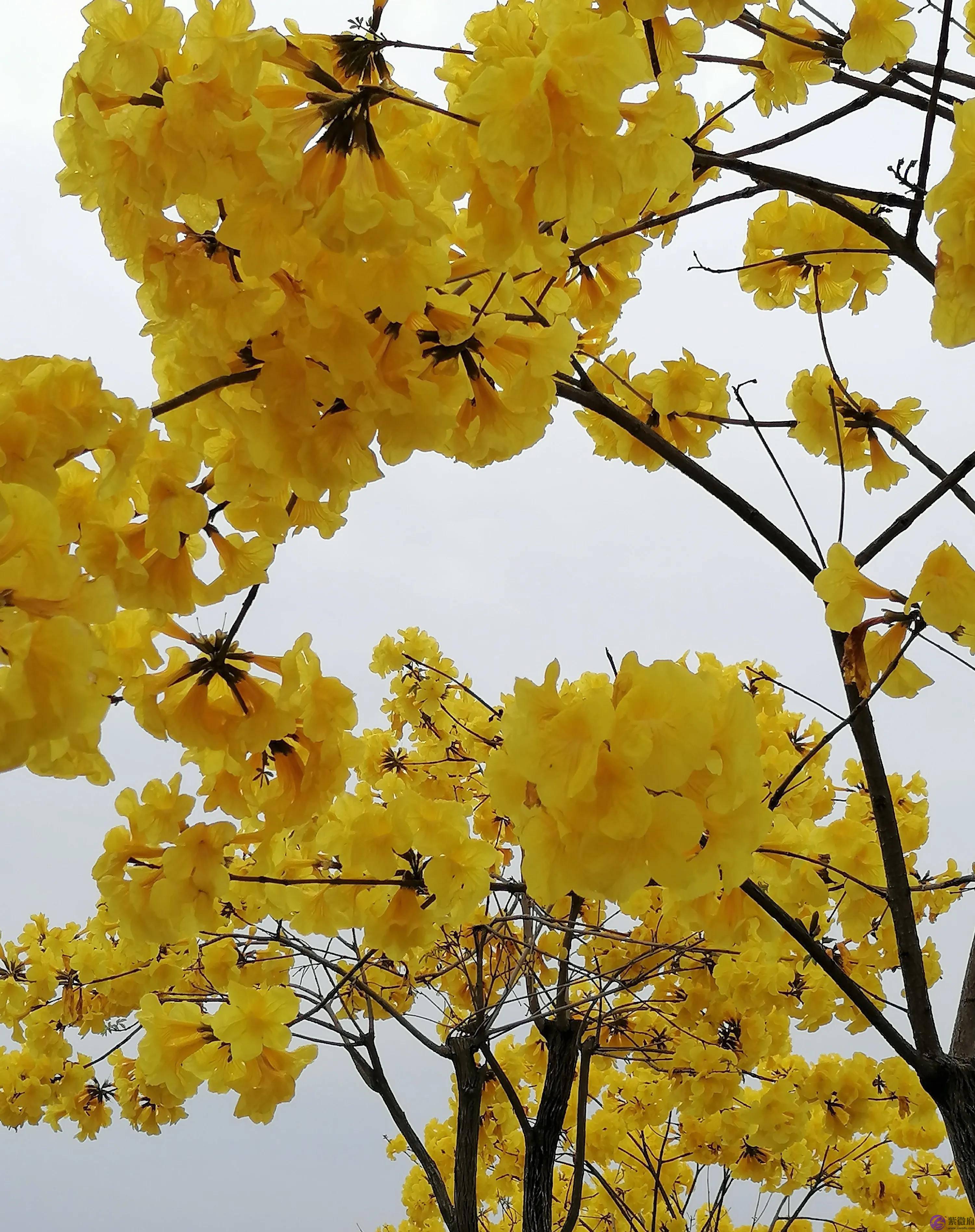 日柱天干地支取像法,从生活场景体会人生历程(实例)