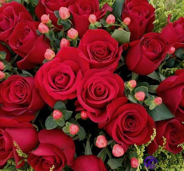 乙木丑月地支巳酉丑金局天干辛金透出从杀格,大运戊戌金榜题名