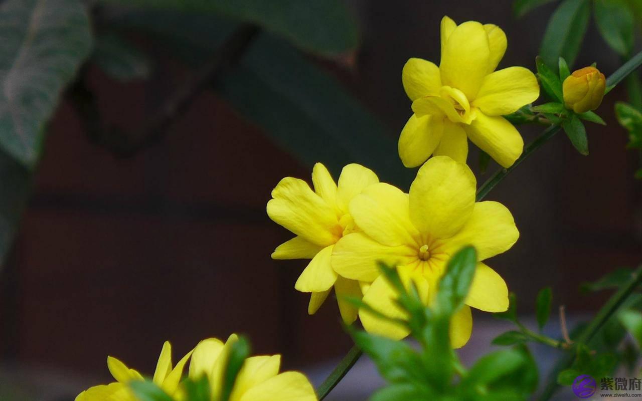 生辰生辰详细分析:离婚后才发现,对前妻的感情是真的忘不掉