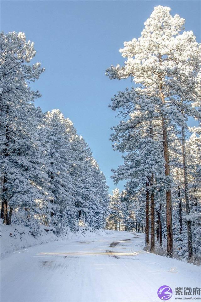 生辰生辰详细分析：前妻败家，离婚之后财运反而变好，什麽原因？