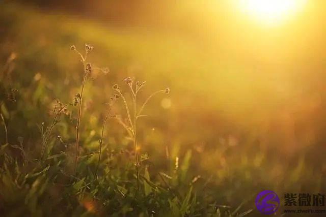 女性总断歌（5）