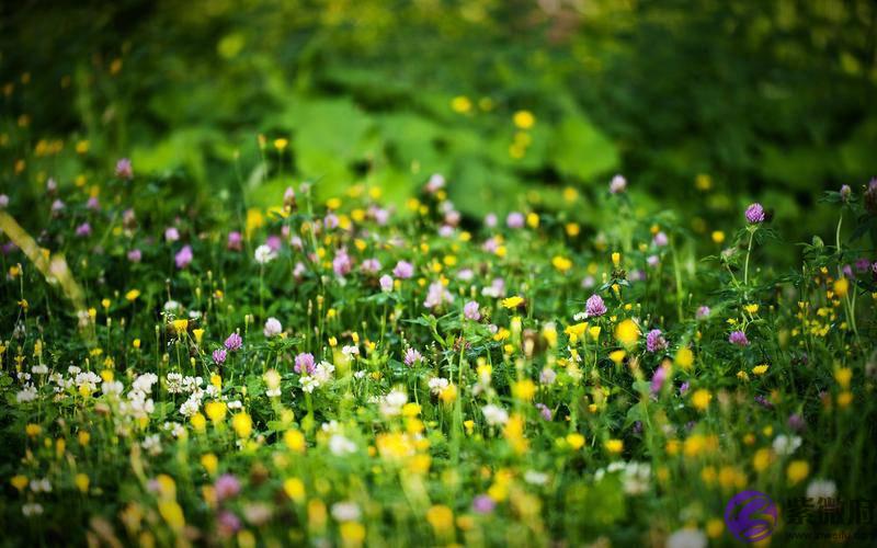 生辰生辰详细分析：出生在庚午日柱的人，妻子会对你有善意的管束！
