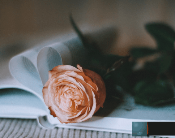 华盖+太极贵人，对神秘文化感兴趣，第六感比较准