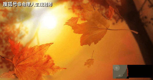 事业生辰看事业，2022年哪些生肖贵人运、事业运最旺？