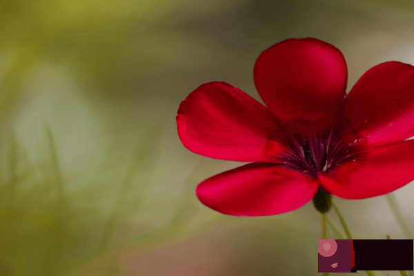 八月下旬必遇贵人4大生肖，事业顺利发展，业绩惊人！