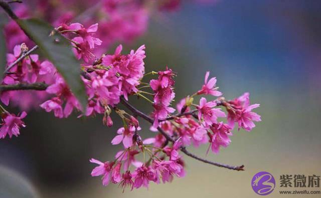 俗语“春打六九头，喝水像喝油”，2020年立春在几九？答案来了！