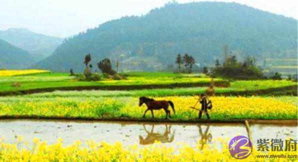 俗语“春打六九头，吃穿不用愁”，是啥意思？今年立春在几九？