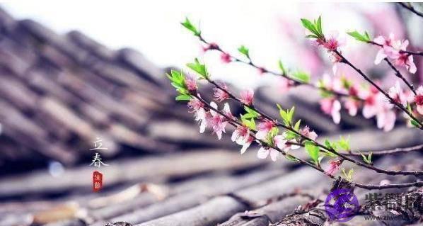 俗语“春打六九头，吃穿不用愁”，是啥意思？今年立春在几九？