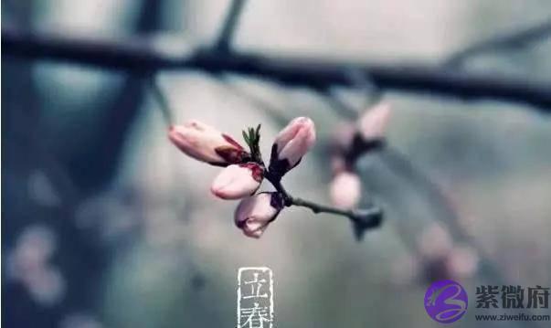 俗语“春打六九头，吃穿不用愁”，是啥意思？今年立春在几九？