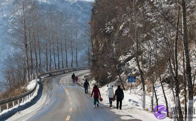 俗话说“鼠年难逢双立春”，2020年难道是好彩头？