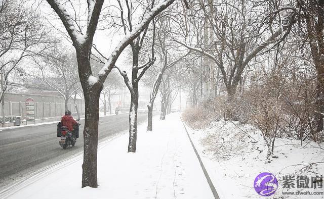 俗语：“春打六九头，喝水像喝油”，2020年立春是几九？答案来了