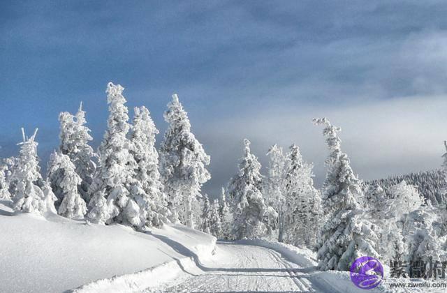 俗语：“立春在腊月间，明春无倒春寒”，明年立春在什麽时间？