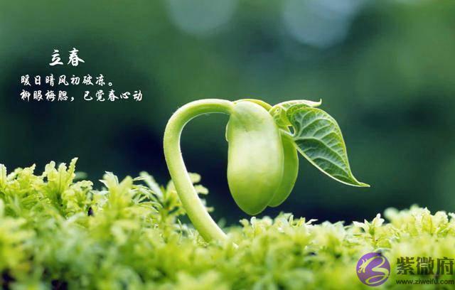 农村俗话说，“春打五九尾，要饭跑断腿”，今年立春是几九呢？