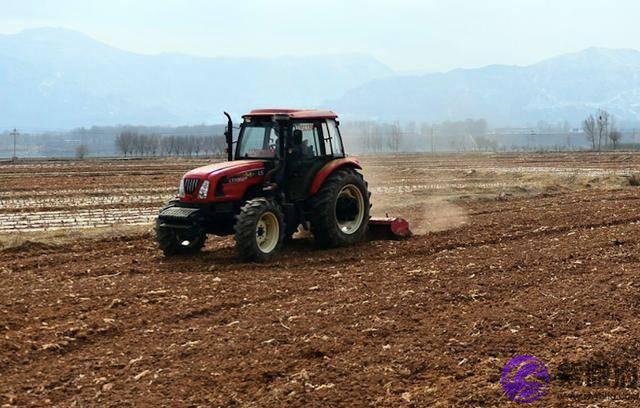 农村俗话说，“春打五九尾，要饭跑断腿”，今年立春是几九呢？