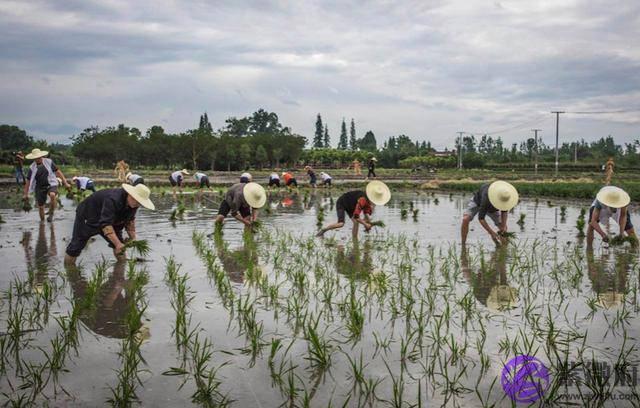 农村俗话说，“春打五九尾，要饭跑断腿”，今年立春是几九呢？