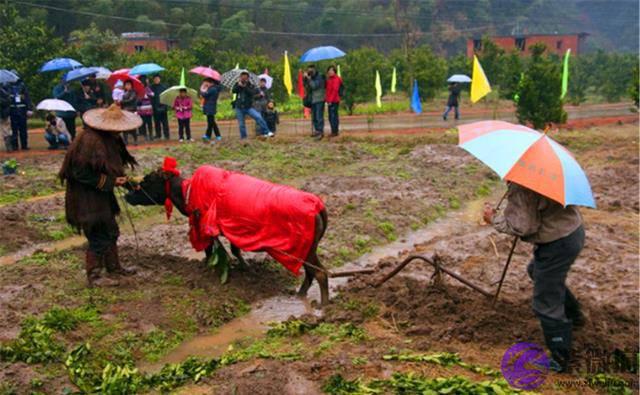 农村俗语：“春打六九头、喝水像喝油”，啥意思？2020何时立春？