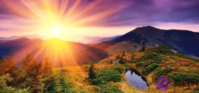 洞悉生辰：浅谈六爻术语。