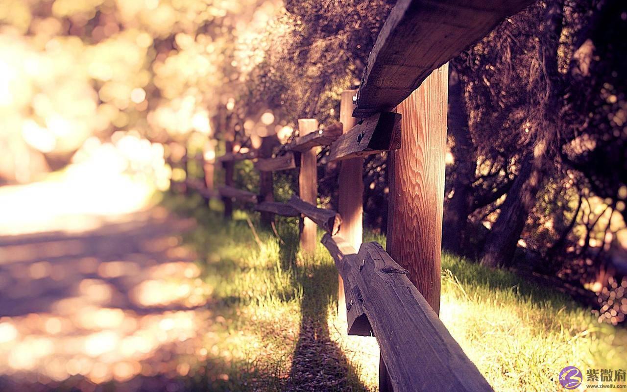 生辰小知识：不利男人，情感婚姻，的命理组合