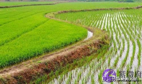 “人有三急”和“六亲不认”，到底是哪三急、哪六亲，长见识了！