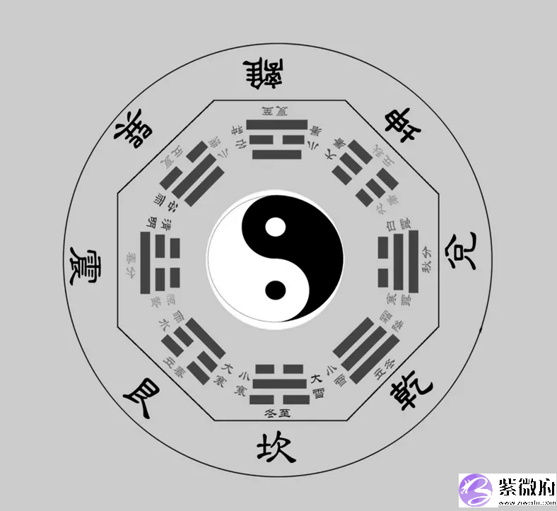 官杀混杂的女命，为何感情坎坷？