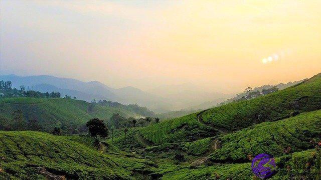 生辰生辰婚姻分析，官杀混杂的命格，注定感情不稳定