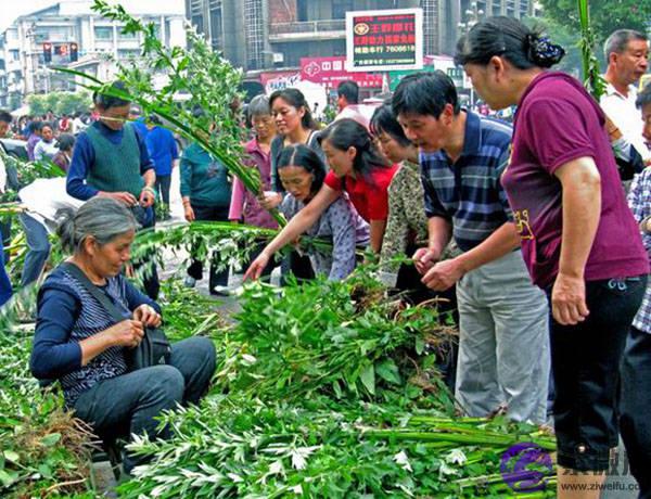 端午节习俗背后那些你不知道的阴阳五行之理