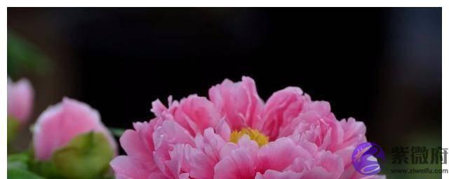 额头上的5种纹路,都在预示着你是什麽命,看看你晚年能享福吗