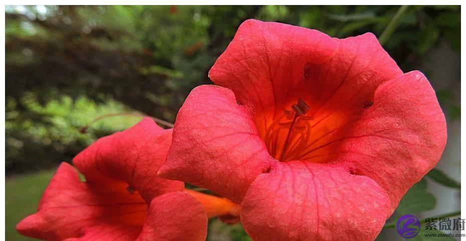 额头上的5种纹路,都在预示着你是什麽命,看看你晚年能享福吗