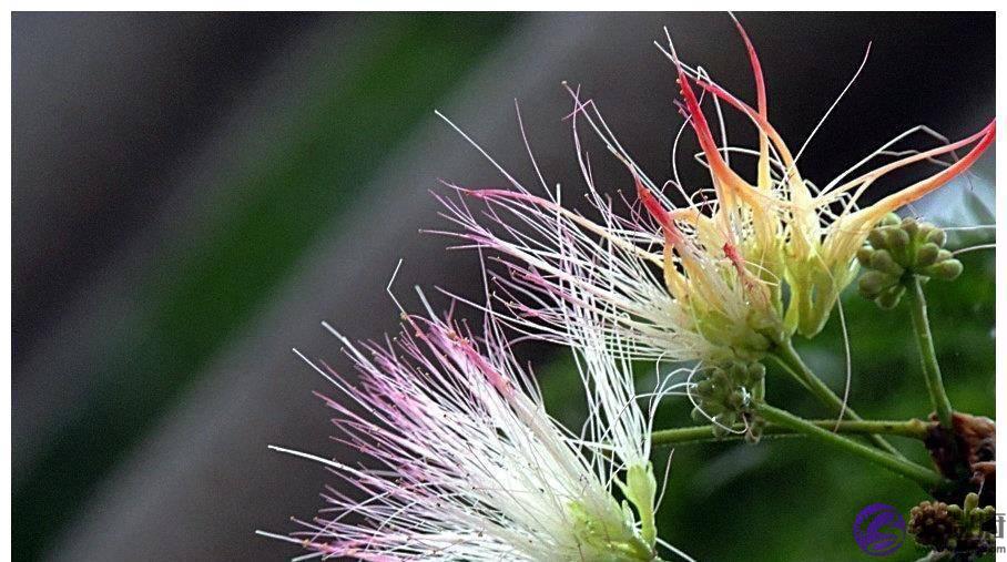 额头上的5种纹路,都在预示着你是什麽命,看看你晚年能享福吗