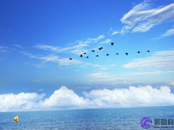 为什麽大雁南飞的时候，要排成一字形或人字形？