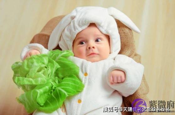 属虎缺火的孩子取什麽名字好，美好的名字集锦