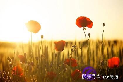 正印和偏印要如何区别,能否同时出现?