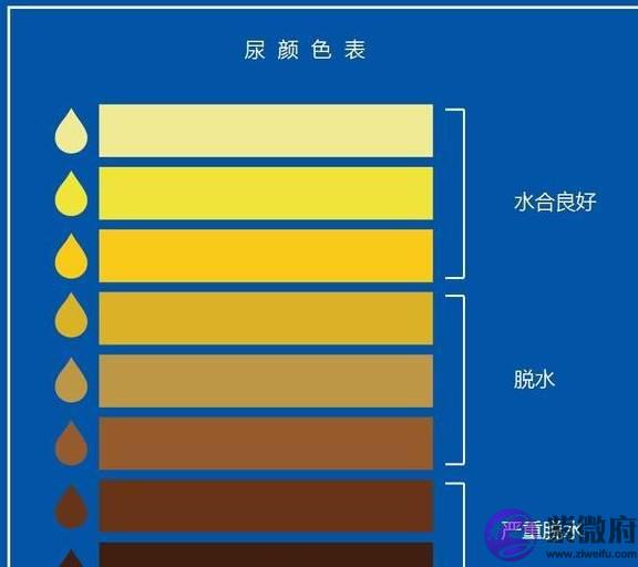 如何确定身体是否缺水,及缺水的程度?