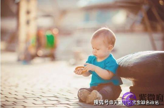 周易取名 陆姓虎宝宝取名测名大全,精选名称解析