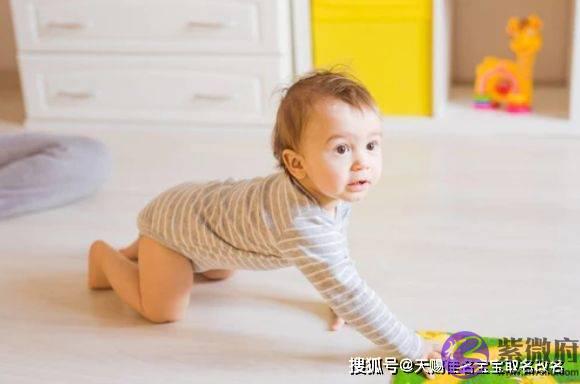 周易取名 陆姓虎宝宝取名测名大全,精选名称解析