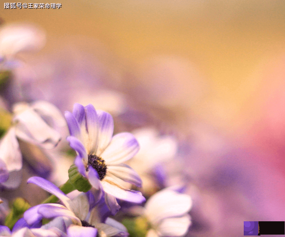 生辰十二长生用法 长生十二宫用法断事