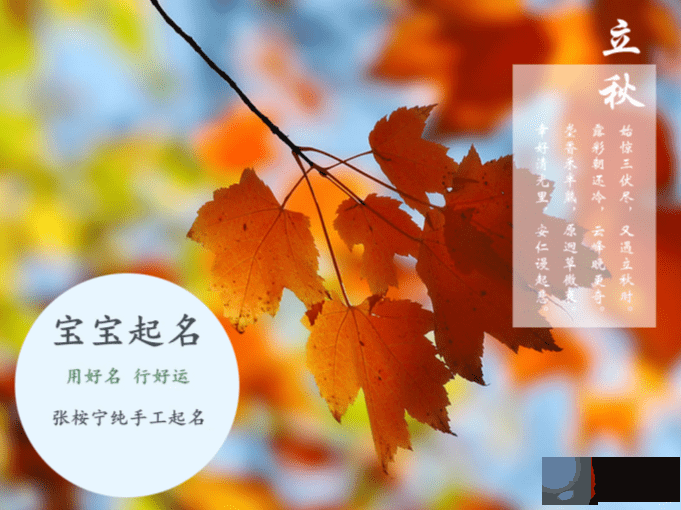 2022年男宝宝取名字大全 虎年男孩子最佳起名用字