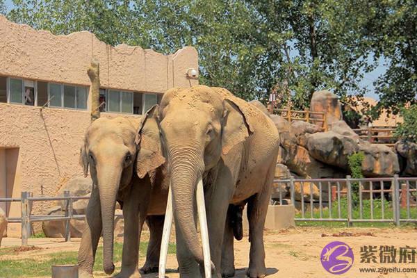 南昌最好的取名字大全,南昌起名称的由来和历史